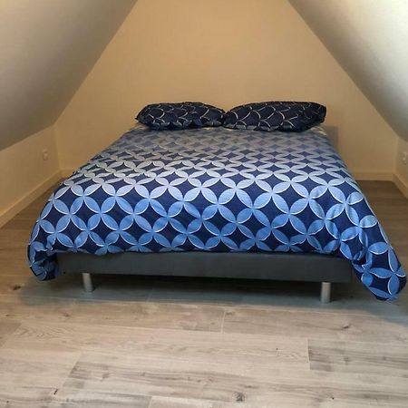 Duplex Hyper Centre Colmar Appartement Buitenkant foto
