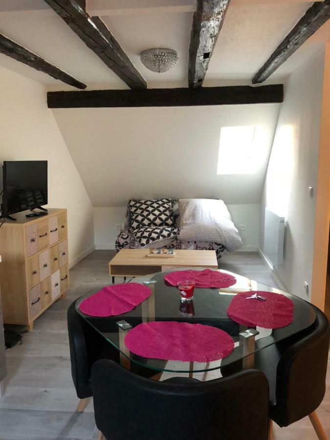 Duplex Hyper Centre Colmar Appartement Buitenkant foto